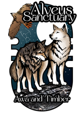 Final Design